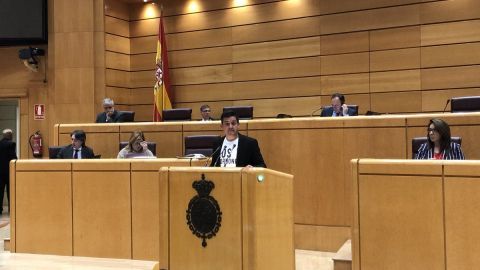 Un senador, con la camiseta de Los Borbones son unos ladrones