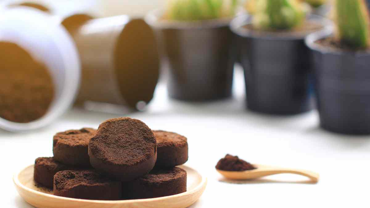 Posos de café reutilizados para fabricar hormigón ecológico