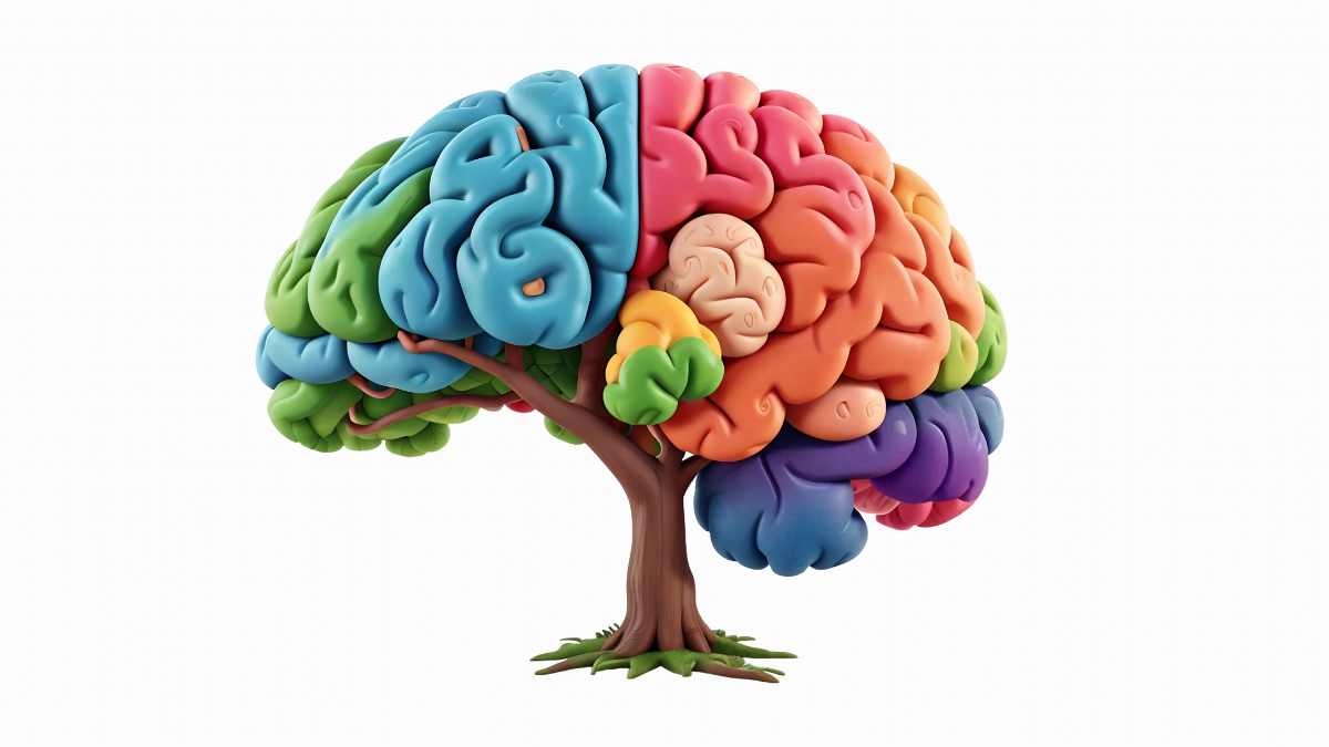 Descubren que una hierba común usada en la cocina podría convertirse en un tratamiento para el Alzheimer
