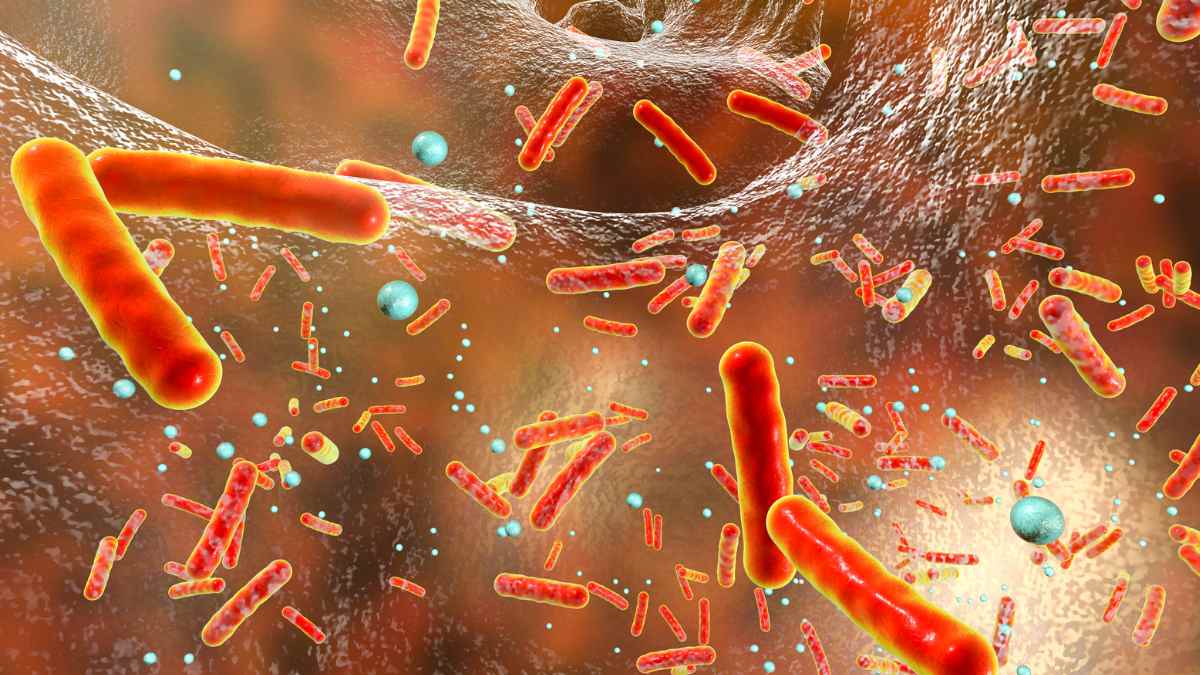 Nuevas formas de vida descubiertas dentro del cuerpo humano: miles de micro-entidades en la boca y el intestino