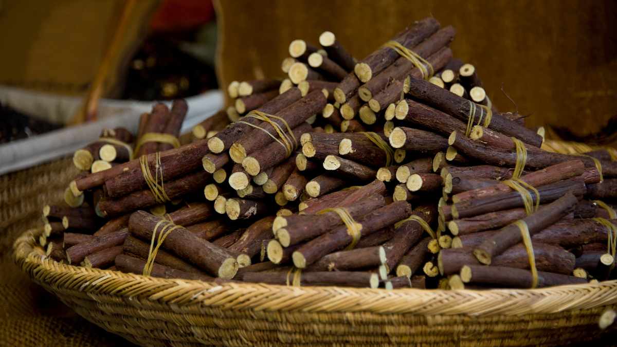 Raíz de regaliz natural en cestos, planta medicinal que protege el hígado y mejora la digestión