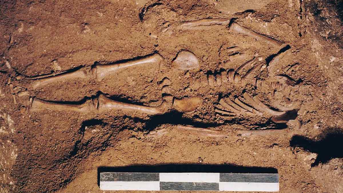 Hallan restos de un bebé de 17.000 años con ojos azules, piel oscura y un corazón enfermo