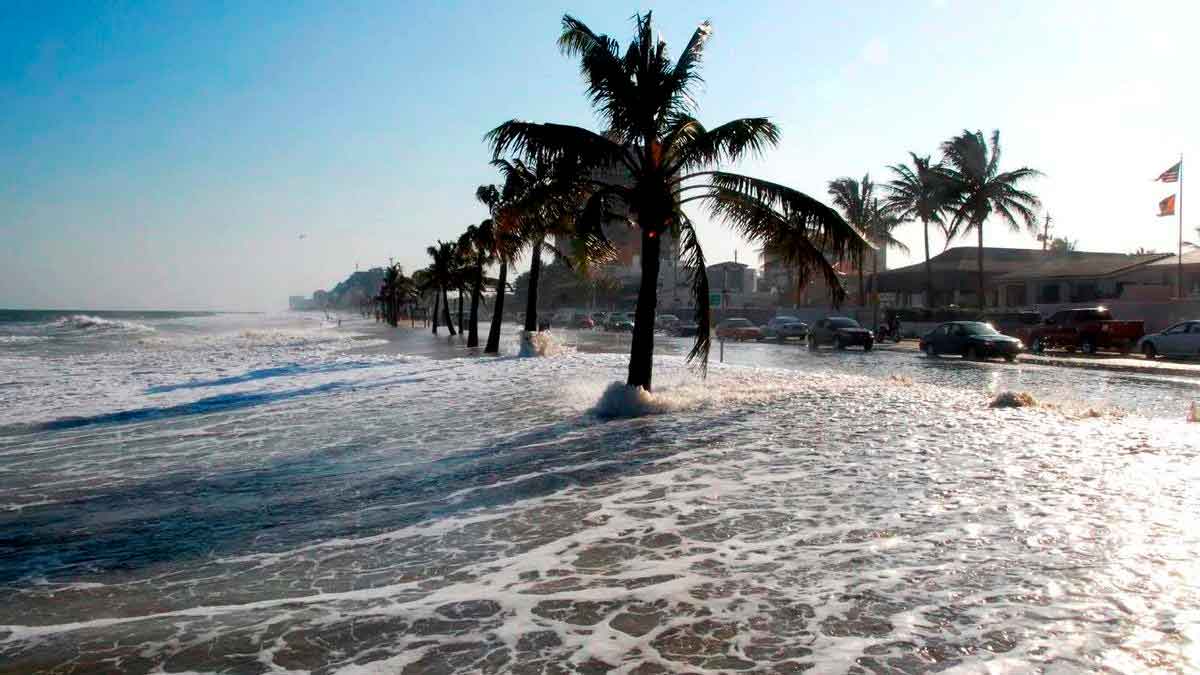 Inundación costera cubre carretera bordeada de palmeras y vehículos debido a la subida del nivel del mar