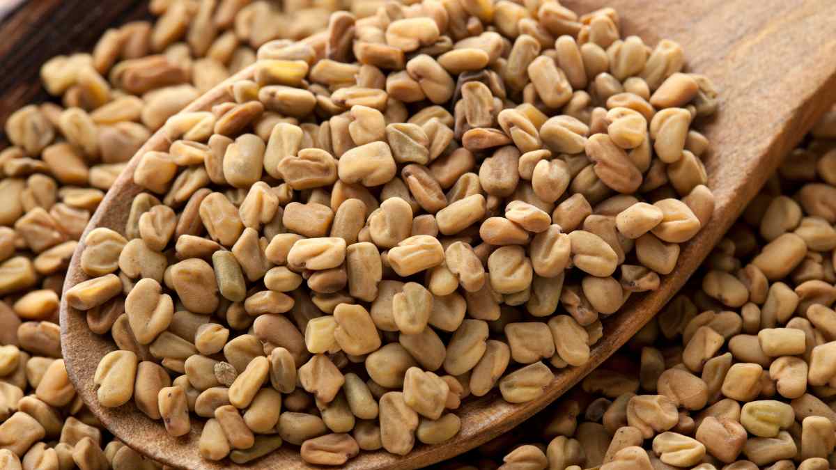 Semillas de alholva ricas en proteínas, magnesio y fibra para fortalecer los músculos y mejorar la digestión