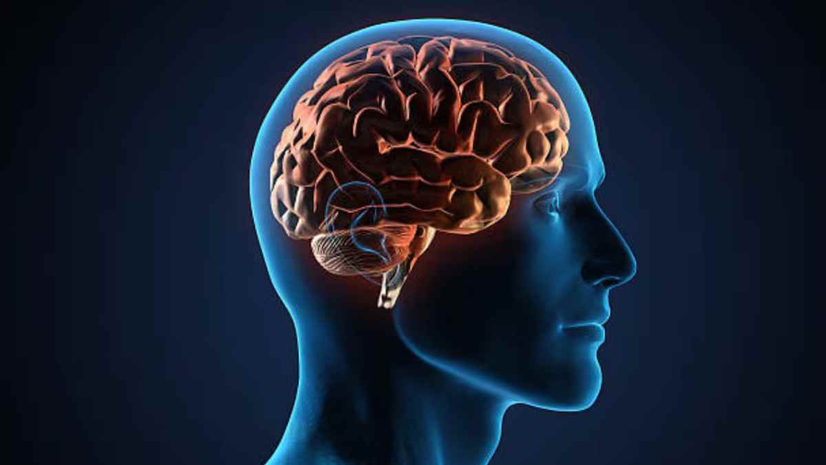 Corte lateral de un cerebro humano iluminado que ilustra cinco microhábitos de neurociencia para aprender más rápido y recordar mejor.
