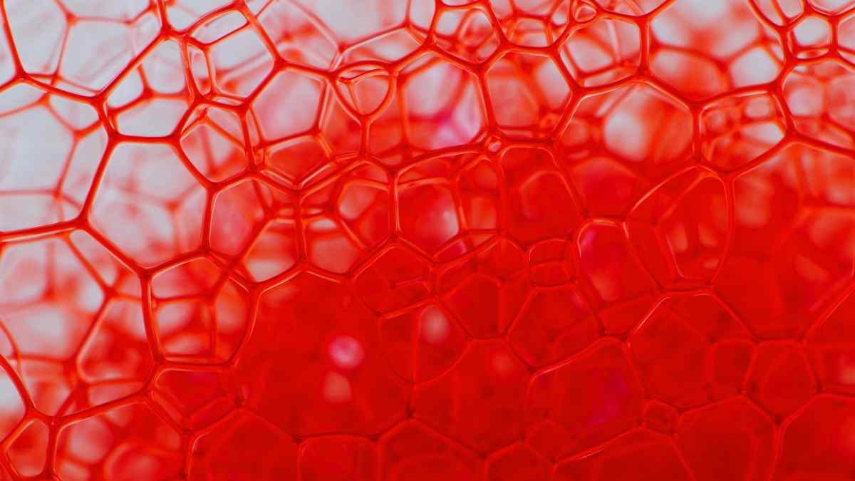 El grupo sanguíneo B, el favorito de la larga vida según la ciencia