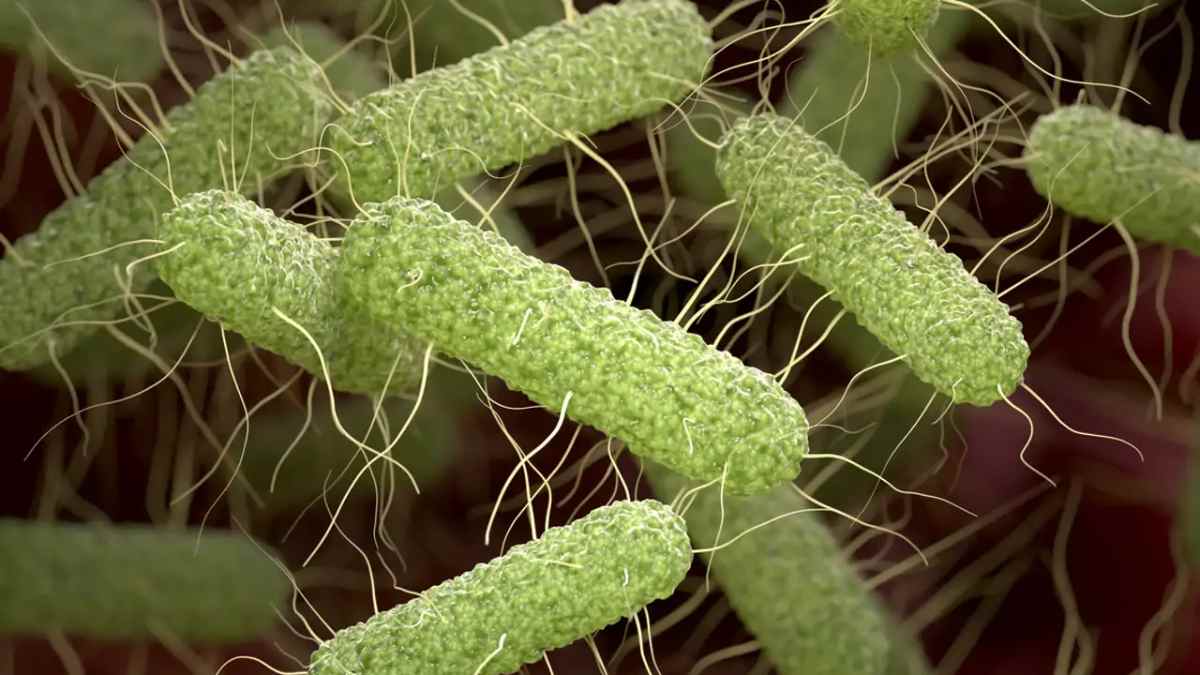 Hallan un nuevo microbio capaz de limpiar las aguas subterráneas del planeta