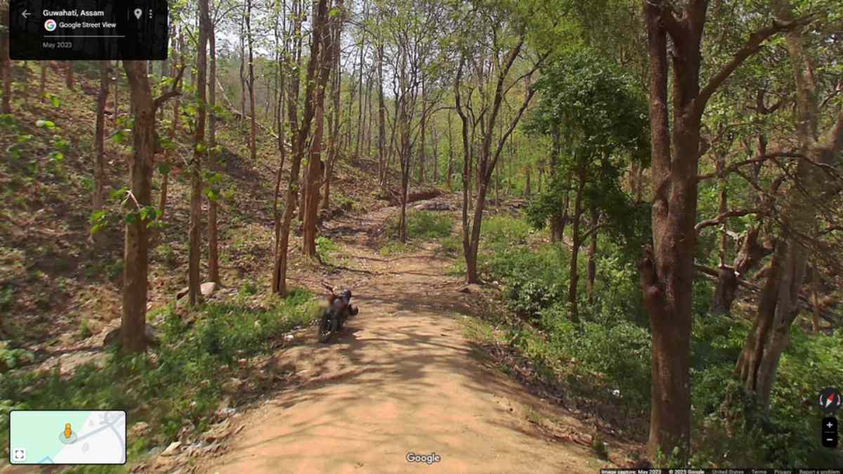 Bosque de Assam en India donde descubrieron la nueva criatura con ojos naranja ardientes y rituales únicos de cortejo