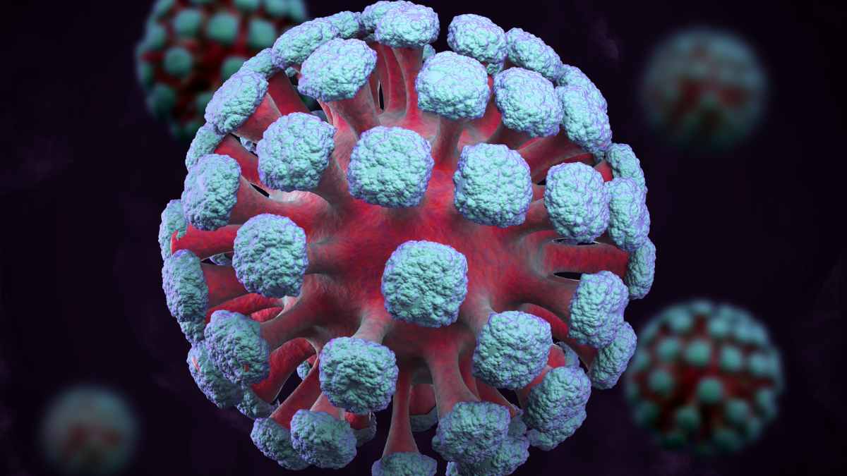 La OMS teme que el chikunguña se convierta en la próxima gran epidemia global