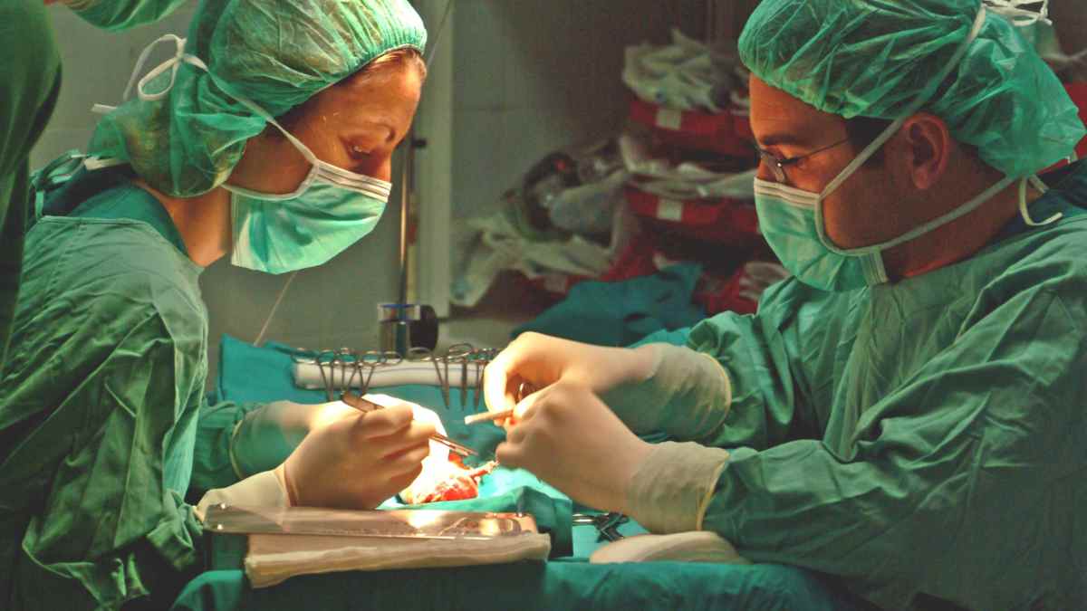 Personas con VIH podrán recibir órganos compatibles por primera vez en España