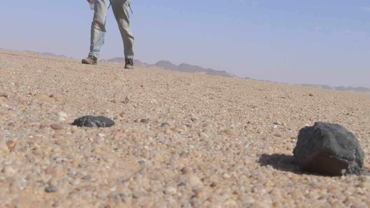 La roca marciana más grande jamás encontrada en la Tierra se vende por una cifra récord