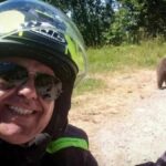 Un turista se baja de su moto para dar de comer y hacerse fotos con un oso salvaje y acabó siendo el menú principal