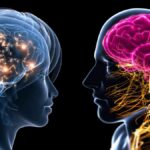 Ilustración que muestra las diferencias en la actividad cerebral entre personas optimistas y pesimistas al imaginar el futuro