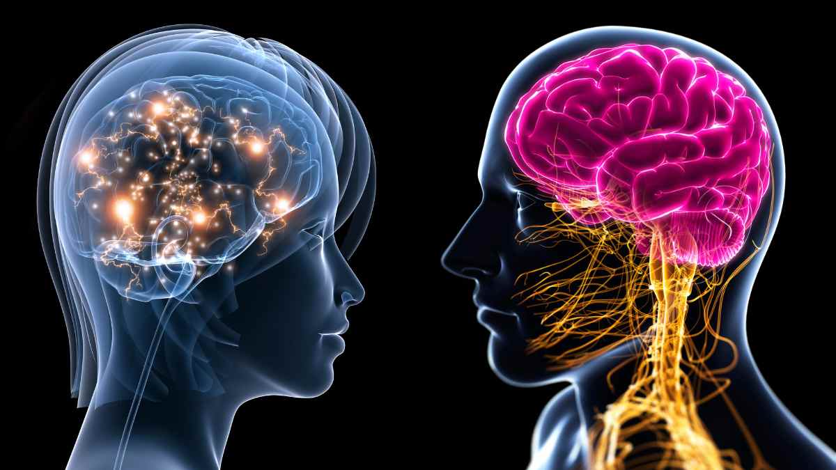 Ilustración que muestra las diferencias en la actividad cerebral entre personas optimistas y pesimistas al imaginar el futuro