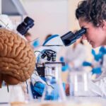 Investigadora analizando en microscopio cómo las neuronas guardan los recuerdos en estudio español.