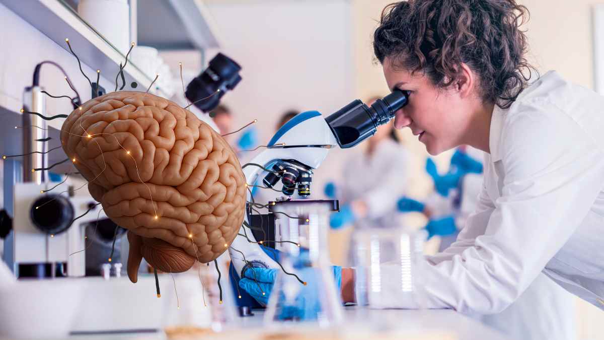 Investigadora analizando en microscopio cómo las neuronas guardan los recuerdos en estudio español.