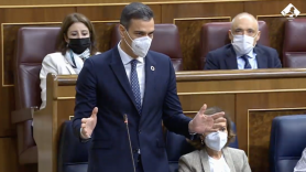 El presidente del Gobierno, Pedro Sánchez, durante una sesión de control