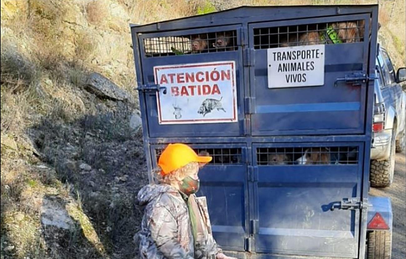 Imagen que la Mesa Galega pola Caza publicó para decir que "hay futuro" para esta práctica en Galicia (Foto: Facebook).