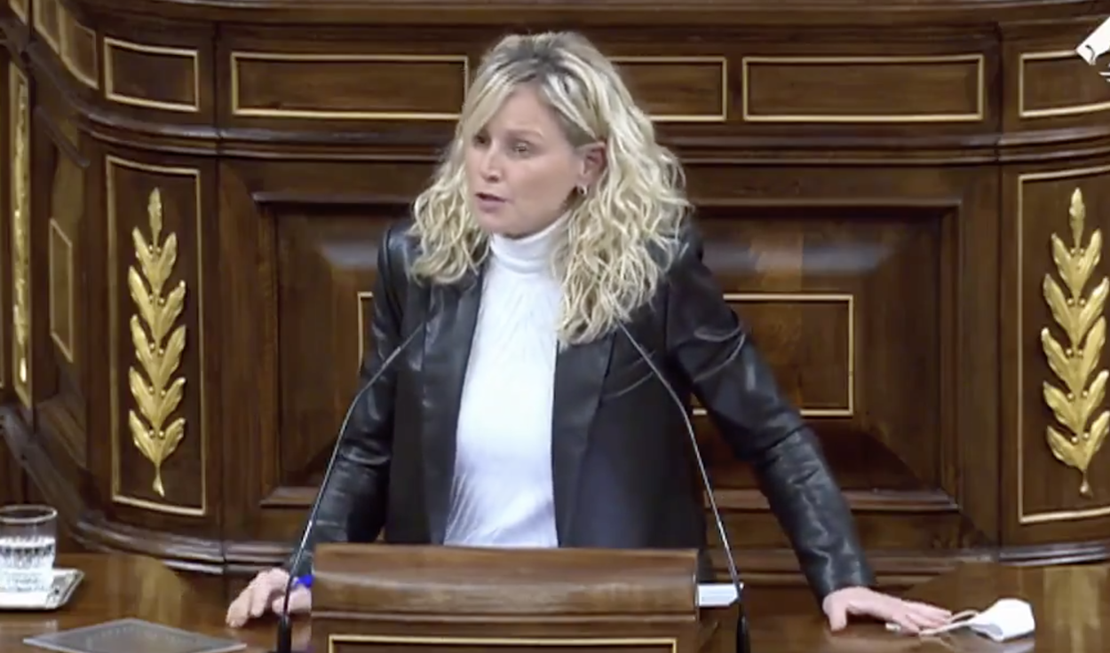 Montse Mínguez, diputada del PSOE, desde la tribuna de oradores