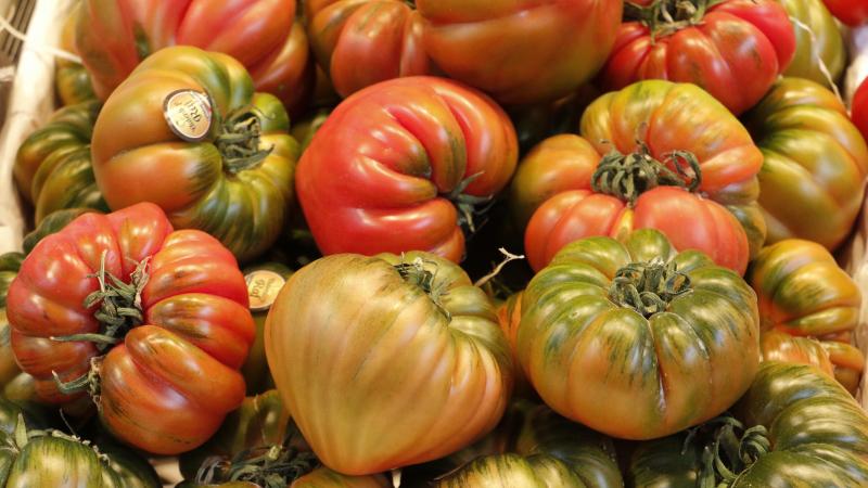 Tomate de mercado Tomate de mercado