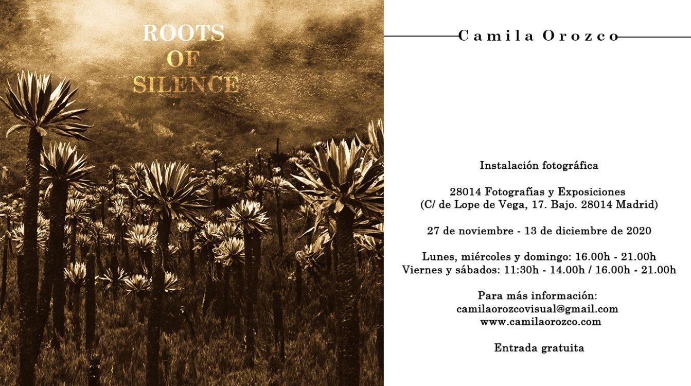 La fotógrafa Camila Orozco nos muestra su obra de bosques vivos ROOTS OF SILENCE en el barrio de las Letras de Madrid (1)