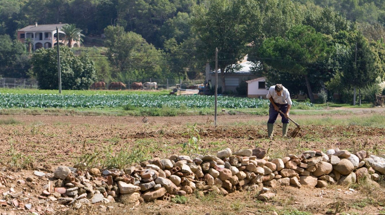 Un artículo publicado por el Observatorio Social de ”la Caixa” concluye que uno de cada cinco nuevos habitantes rurales tiene origen extranjero Un artículo publicado por el Observatorio Social de ”la Caixa” concluye que uno de cada cinco nuevos habitantes rurales tiene origen extranjero