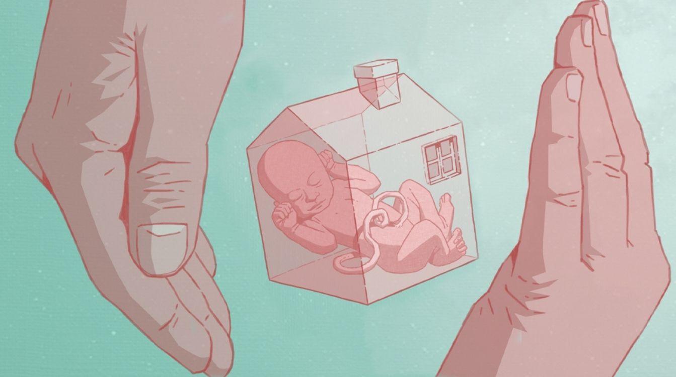 La Fundación ”la Caixa” impulsa el primer gran proyecto europeo para crear una placenta artificial para salvar la vida de los bebés prematuros