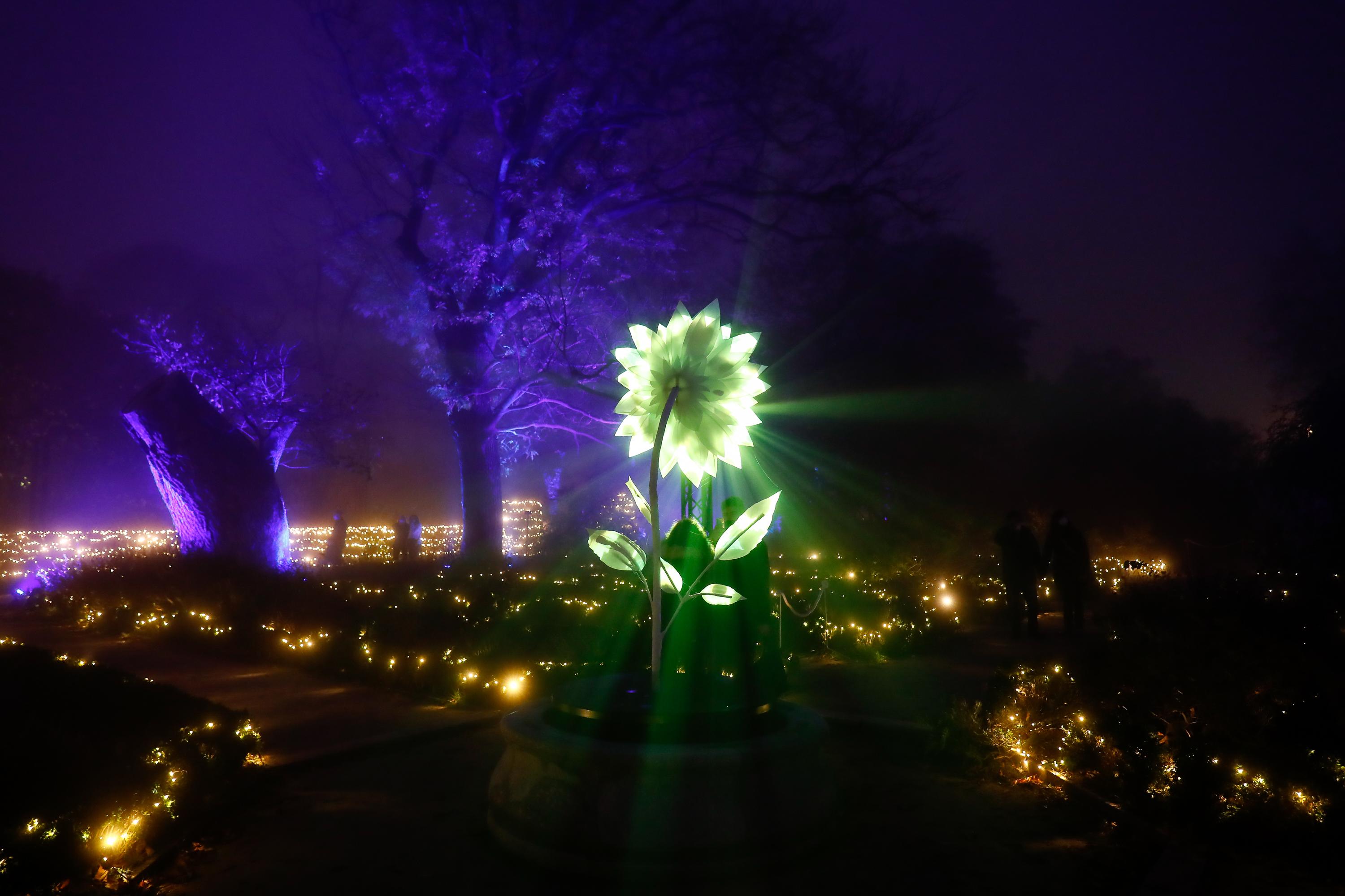Detalle de la iluminación durante la inauguración de las luces de Navidad en el Real Jardín Botánico de Madrid