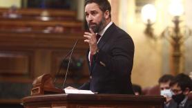 El presidente de VOX, Santiago Abascal interviene durante una sesión de control al Gobierno, en Madrid