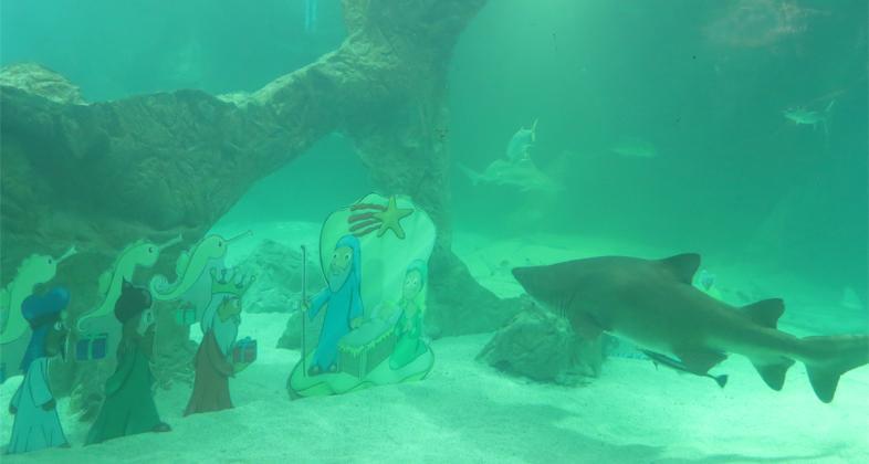 Belén de tiburones en el Zoo de Madrid