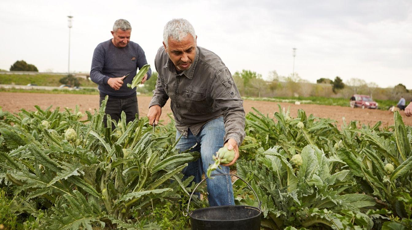 La Fundación  la Caixa  destina un millón de euros para proyectos sociales en el ámbito rural