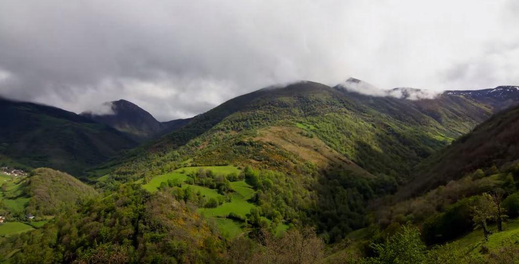 bosque de muniellos