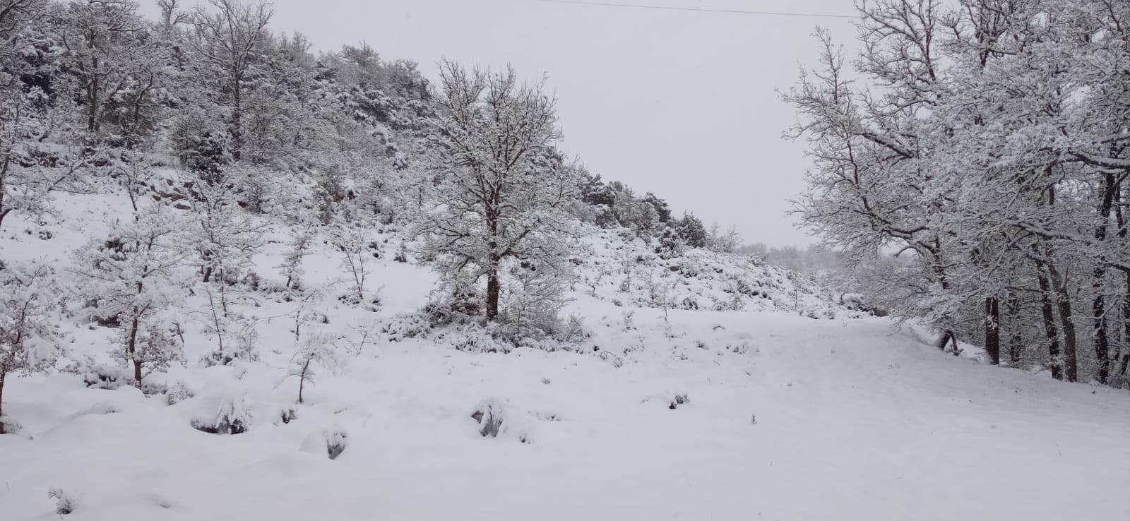 Nieve en Euskadi. EP