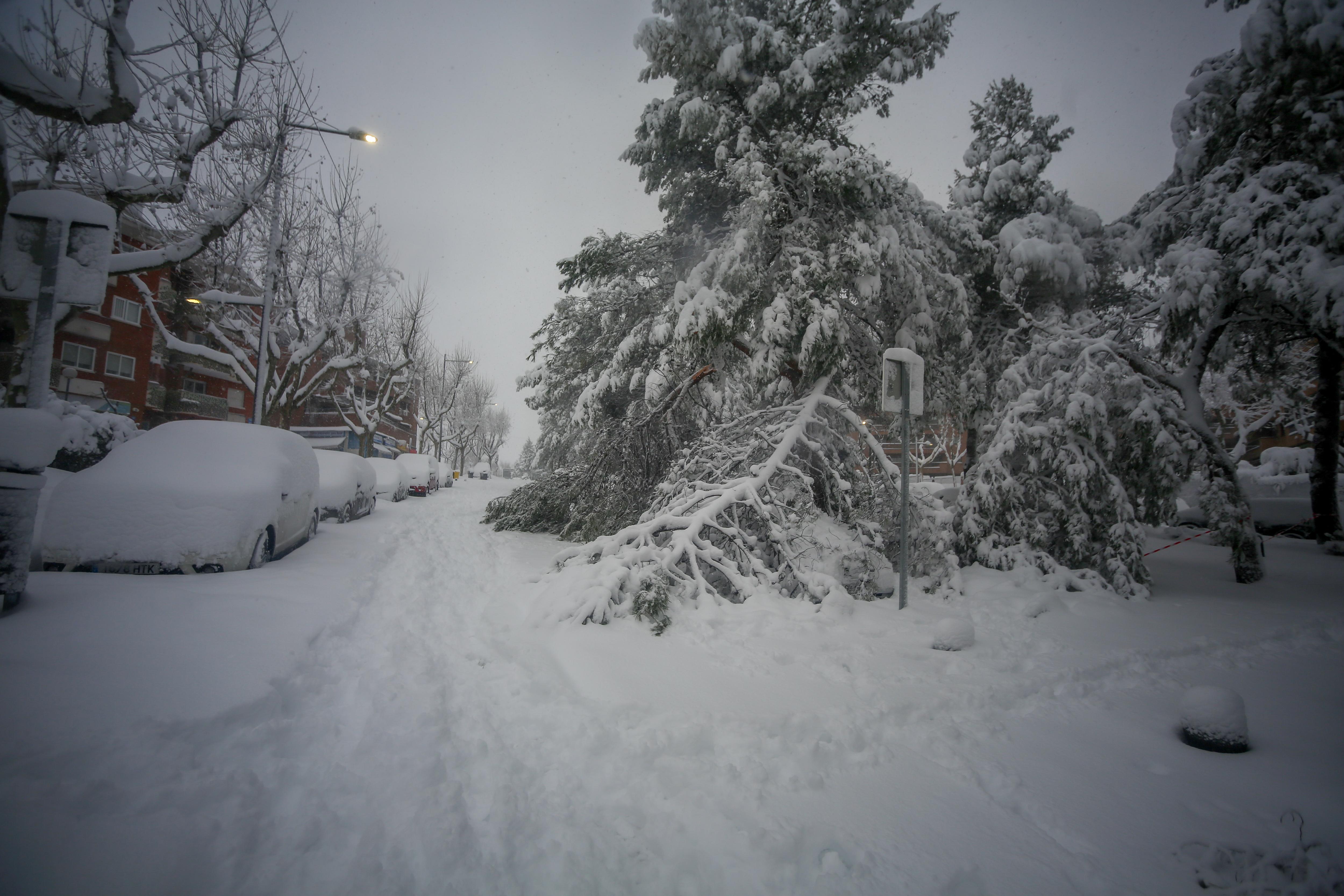 Coches sepultados de nieve por la borrasca Filomena, en Pozuelo de Alarcón. Europa Press