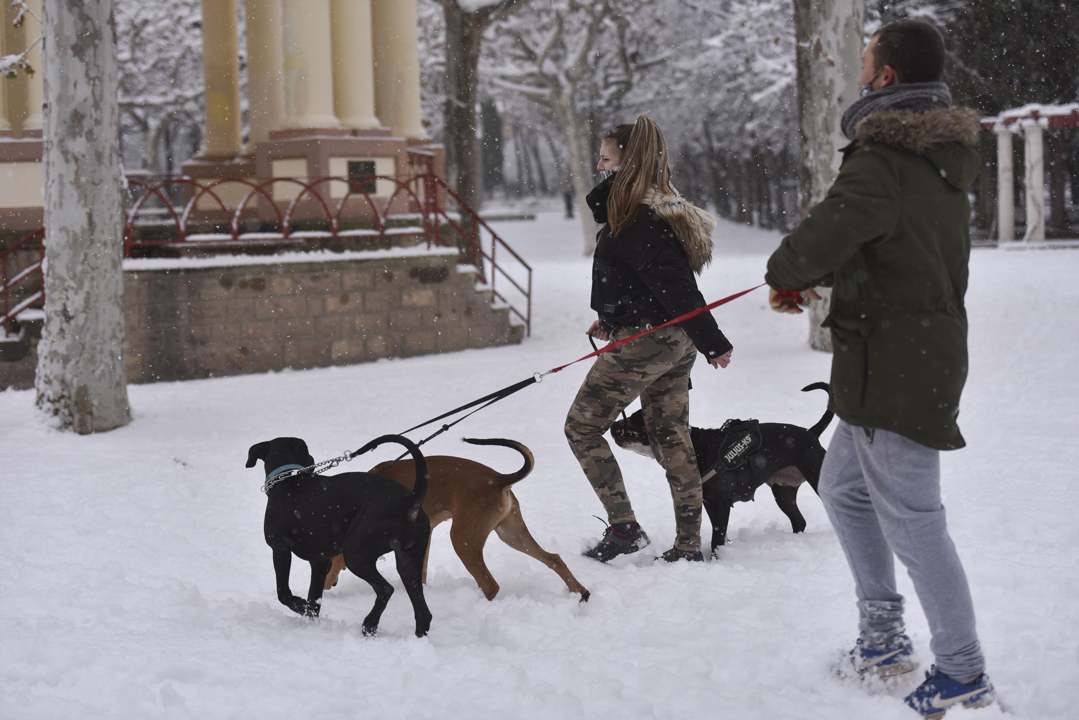 Dos personas pasean a sus perros por la nieve en Huesca, Aragón. EP