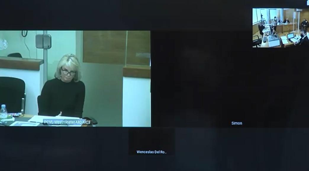 Corinna Larsen declara por videoconferencia en el Juzgado de Lo Penal número 8 de Madrid. Europa Press. 