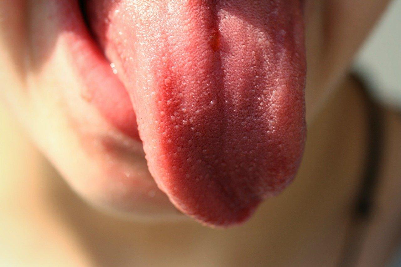 Imagen de una lengua humana. Pixabay.