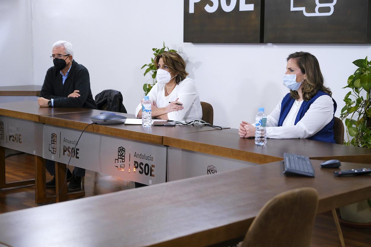 Un momento de la reunión telemática del PSOE A con trabajadores de Salud Responde.