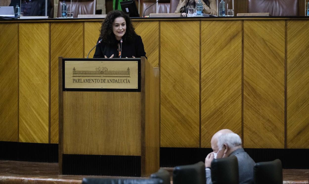 La portavoz de Adelante, Inmaculada Nieto, dirigiéndose al consejero de Salud, ayer en el Pleno. PARLAMENTO DE ANDALUCÍA