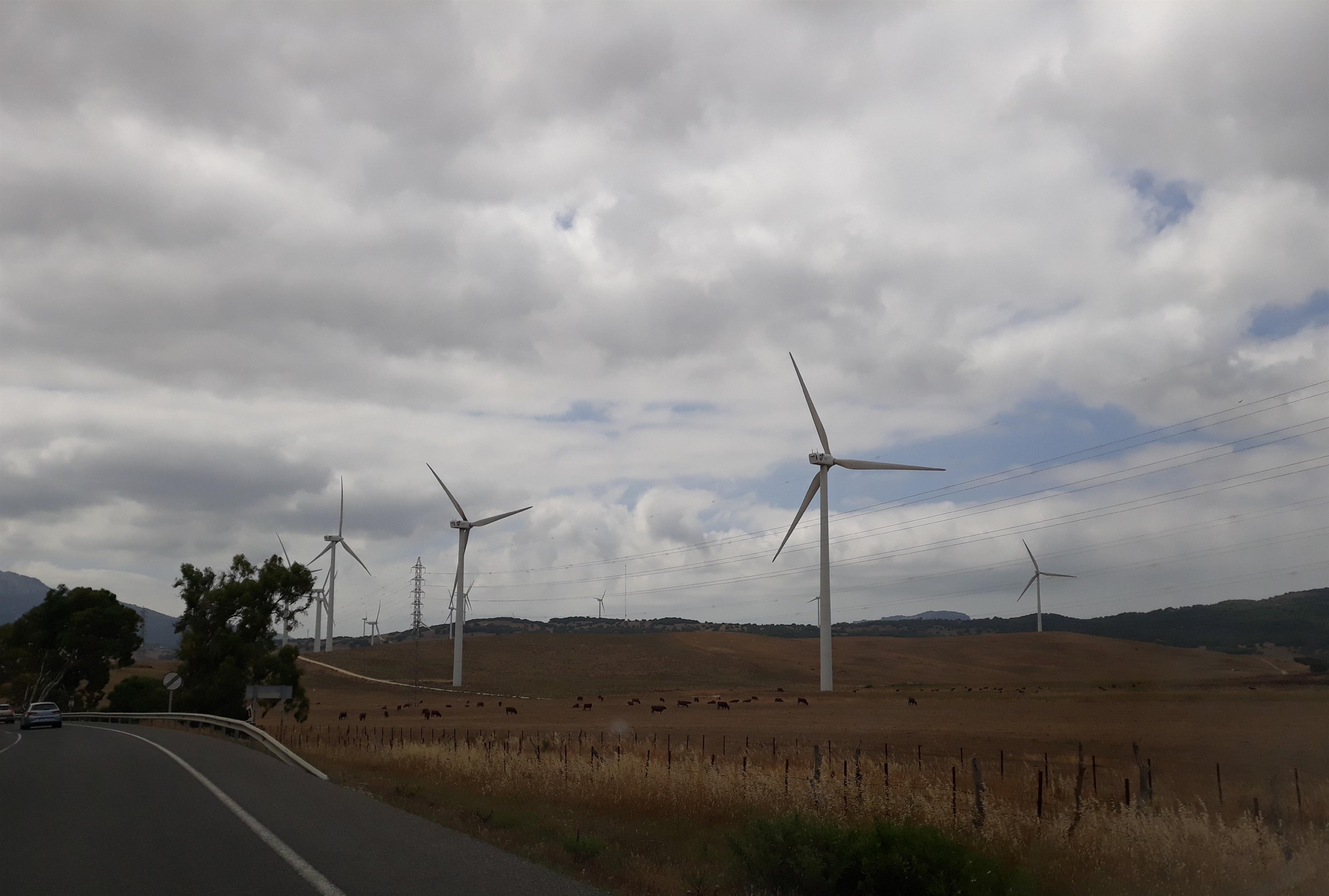 Molinos de viento en Tarifa (Cádiz). Europa Press