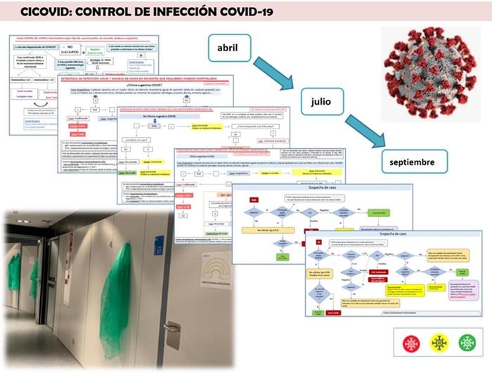 Esquema del proyecto CICOVID