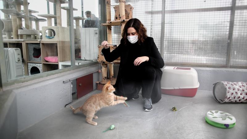 Isabel Díaz Ayuso visita el Centro Integral de Acogida de Animales de Madrid. EP