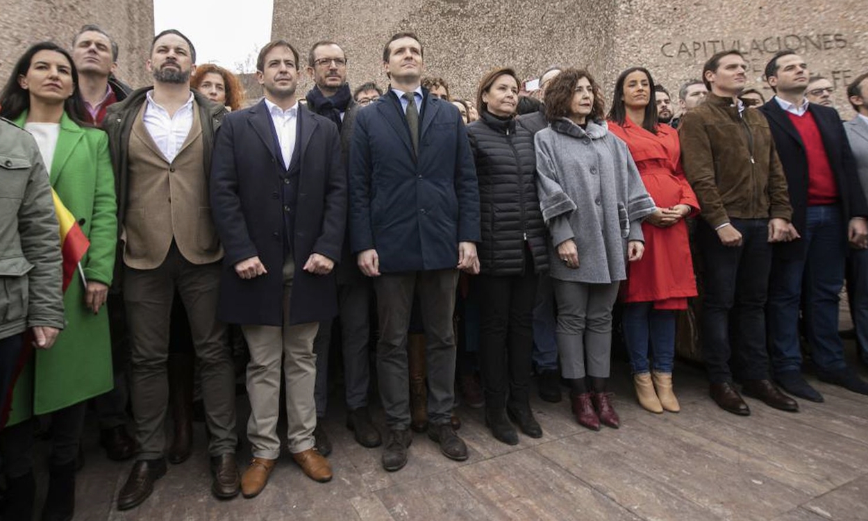 Fotografía de la manifestación de Colón. De izquierda a derecha: Rocío Monasterio (Vox), Javier Ortega Smith (Vox), Santiago Abascal (Vox), Cristiano Brown (UPyD), Javier Maroto (PP), Pablo Casado (PP), Carmen Moriyón (Foro Asturias), Yolanda Ibáñez (UPN)