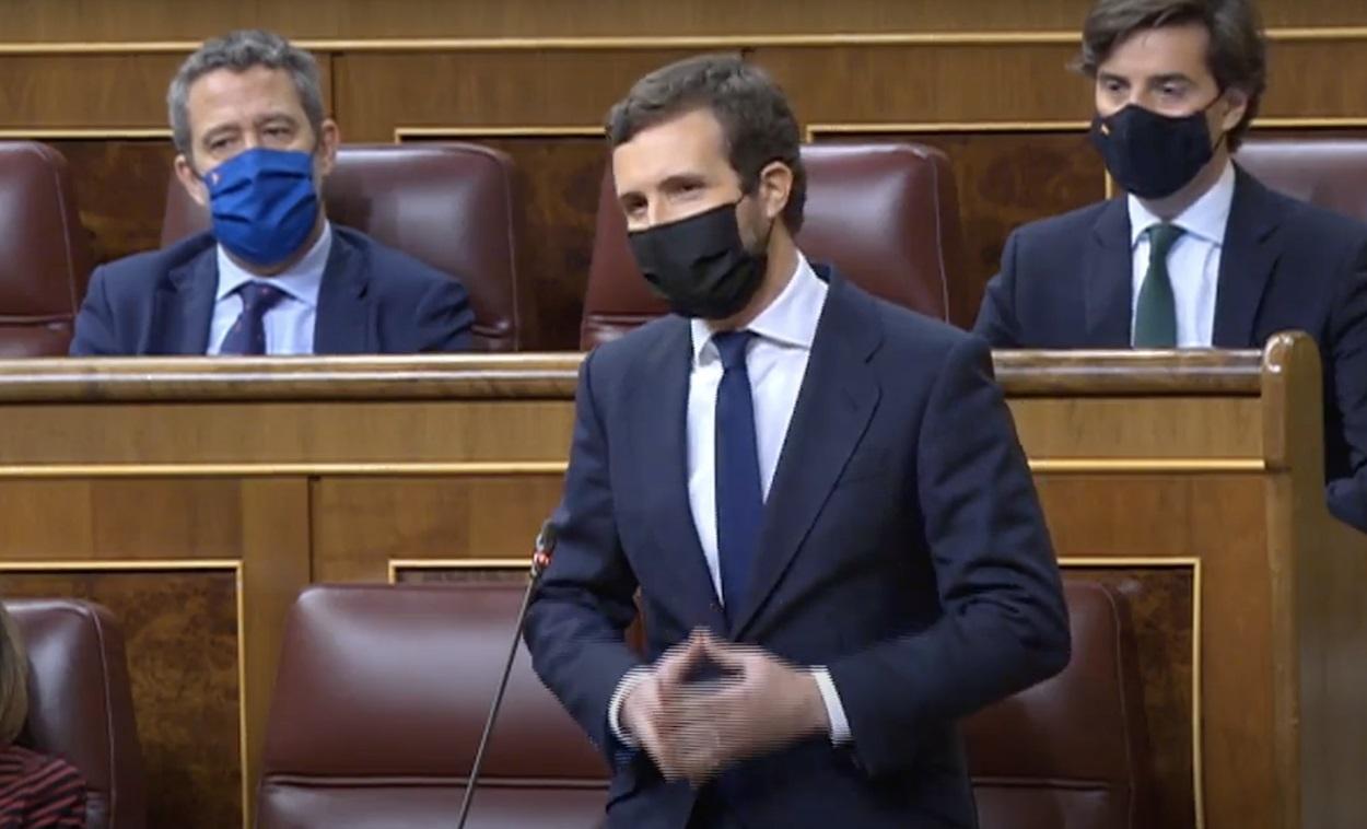 El presidente del PP y líder de la oposición, Pablo Casado