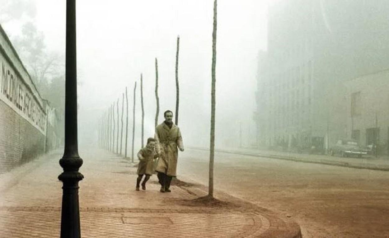 Portada de 'La sombra del viento', de Carlos Ruiz Zafón