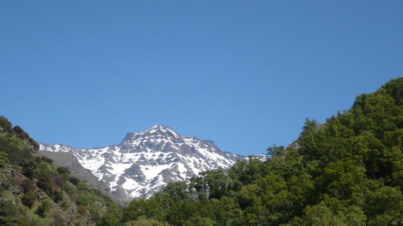 Vereda de la Estrella. Wikipedia