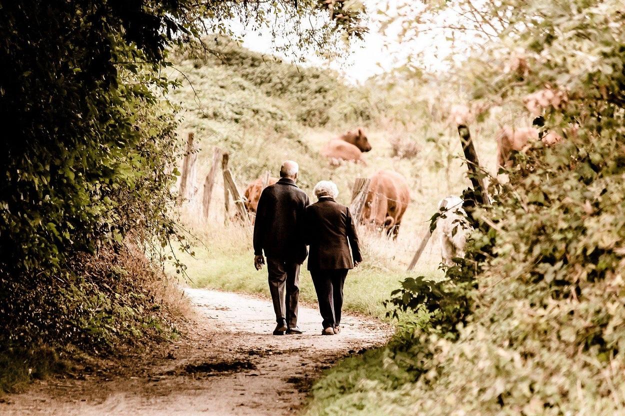 Dos ancianos pasean por el campo
