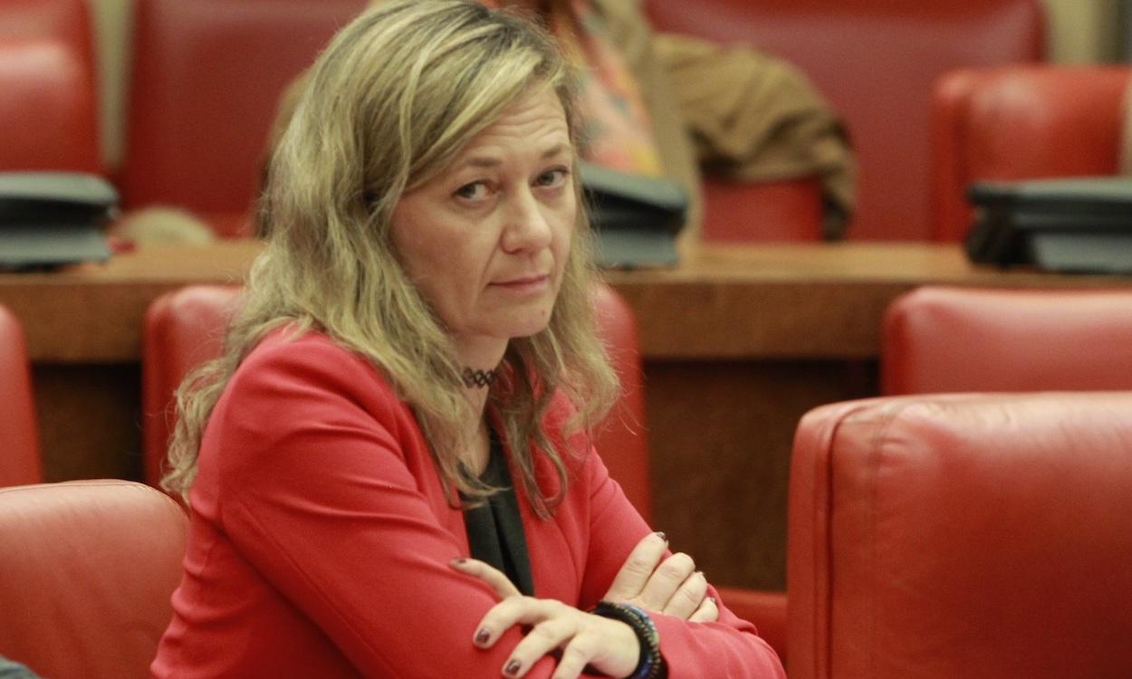 La delegada del Gobierno contra la Violencia de Género, Victoria Rosell