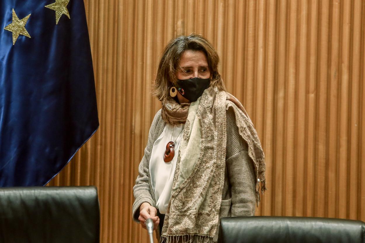 Teresa Ribera guarda silencio ante la campaña de 'Amigos de la Tierra'. Europa Press