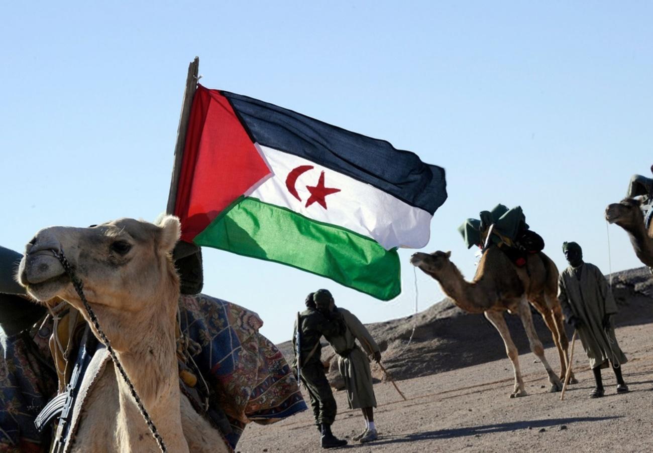 Más de 1.000 niños saharauis de los campamentos de Tinduf, en Argelia, llegaron a España el pasado mes de julio. En la imagen, la bandera del Sáhara Occidental (Fuente: Ayuntamiento de Coslada)